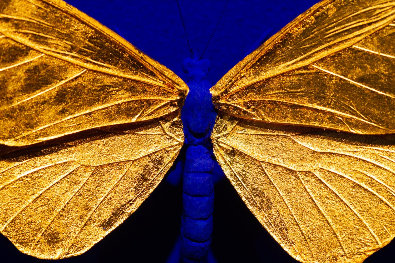 Inversion Gold on Blue II